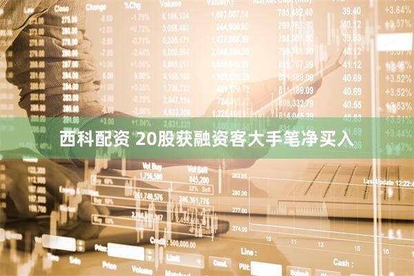 西科配资 20股获融资客大手笔净买入