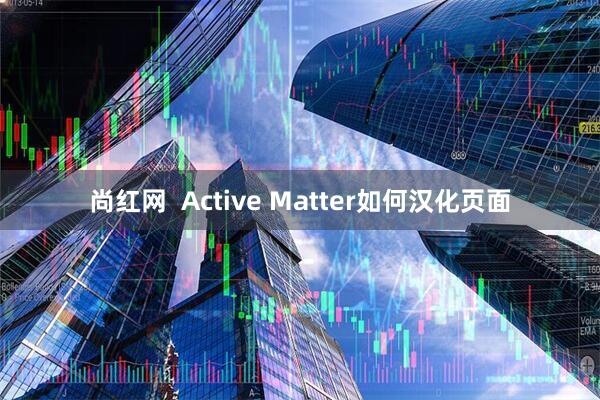 尚红网 Active Matter如何汉化页面